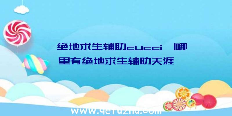 「绝地求生辅助cucci」|哪里有绝地求生辅助天涯